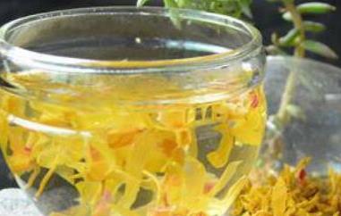 石斛泡水喝的功效与作用（灵芝和石斛泡水喝的功效与作用）