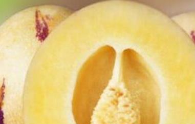 香瓜茄的功效与作用（香瓜茄的功效与作用禁忌）