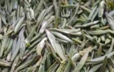 化佛茶的功效与作用（化佛茶的功效与作用及禁忌）