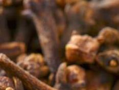 丁香的功效与作用及禁忌 丁香的功效与作用及禁忌症有哪些?