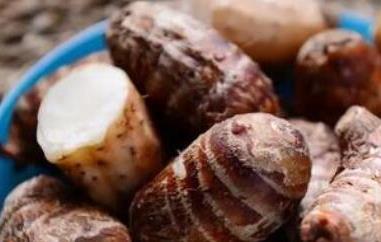 女性吃芋头的好处与禁忌（女性吃芋头的好处与禁忌是什么）