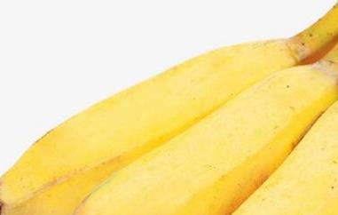 粉蕉的功效与作用及禁忌 粉蕉的功效和作用