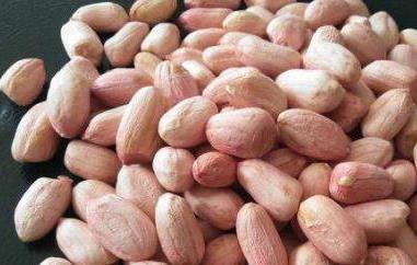 生花生米的功效与作用（熟花生米和生花生米的功效与作用）