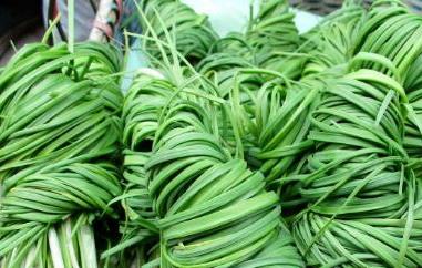 胡葱的功效与作用及禁忌 胡葱的功效与作用及禁忌症是什么