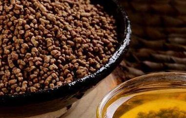 荞麦茶的功效与作用及禁忌 荞麦茶的功效与作用及禁忌是什么