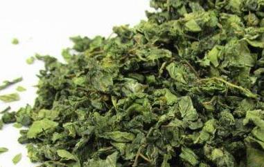 枣叶炒茶的功效与作用及禁忌 炒枣叶茶的方法