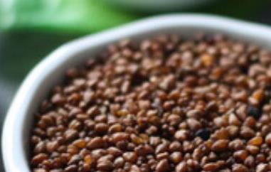 黑苦荞茶的功效与作用 黑苦荞茶的功效与作用及食用方法