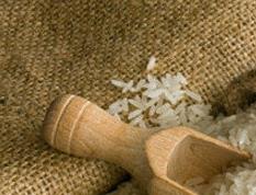 大米生虫还能吃吗（夏天大米生虫还能吃吗）