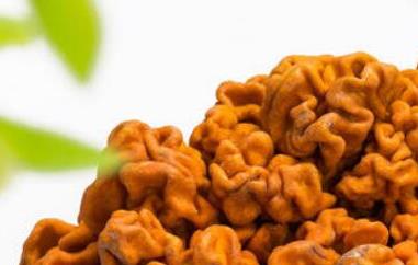 金木耳怎么种植（金木耳怎么种植和管理）