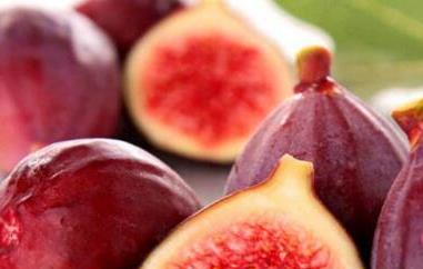 5种人不能吃无花果 5种人不能吃无花果?无花果痔疮