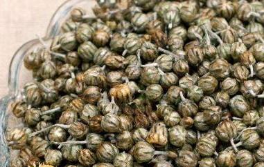 珍珠菊的功效与作用及禁忌(珍珠菊的功效与作用及禁忌症有哪些)