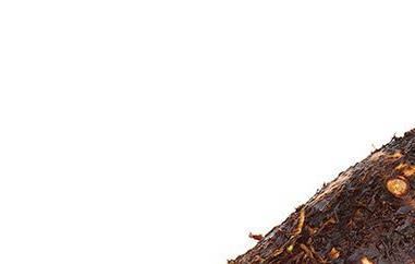 吃槟榔会阳痿吗（吃了槟榔是不是壮阳）