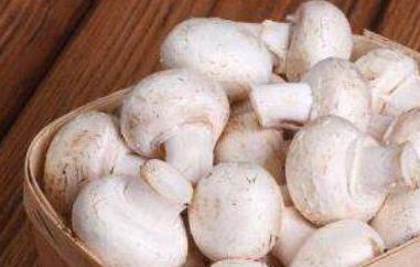 白蘑菇的做法 白玉菇的家常做法