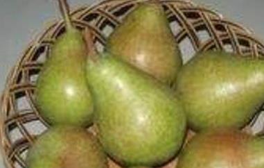 茄梨的功效和作用（茄梨的功效和作用是什么）