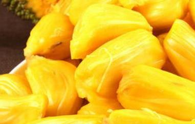 菠萝蜜的功效与作用（菠萝蜜的功效与作用上火还是降火）