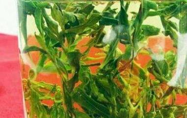 枸杞芽尖茶怎么泡（枸杞芽尖茶怎么泡好喝）