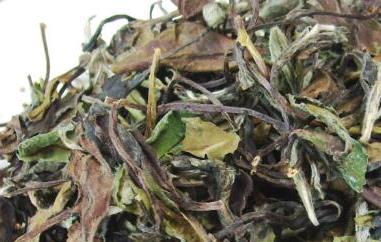 白牡丹茶的功效与作用(福鼎白牡丹茶的功效与作用)