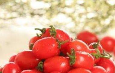 生吃小番茄的功效与作用（生番茄的功效与作用及食用方法）