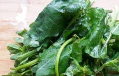 油菜尖的禁忌和功效（油菜尖的禁忌和功效图片）