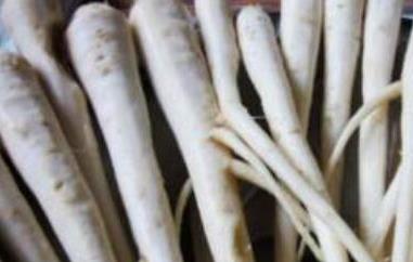 人参蔓菁的功效及副作用 土人参蔓菁有什么功效