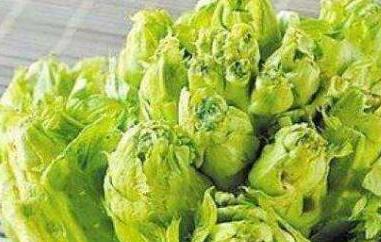 齿儿菜的功效与作用（马齿菜功效）