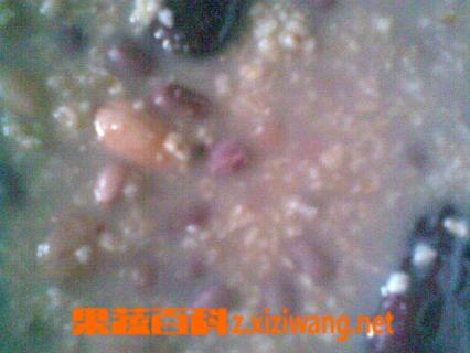 红豆薏米燕麦粥