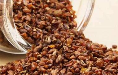 苦荞茶可以天天喝吗 苦荞茶可以天天喝吗会不会太凉了