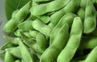 毛豆的功效与作用及禁忌（毛豆的功效与作用及食用方法）