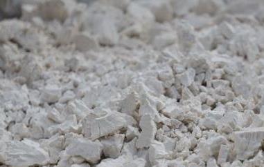 菱角粉的功效与作用 菱角粉的功效与作用痛风