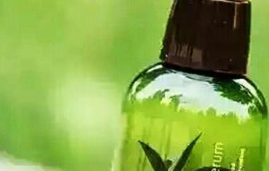 绿茶籽精油如何用（茶籽精油如何使用方法）