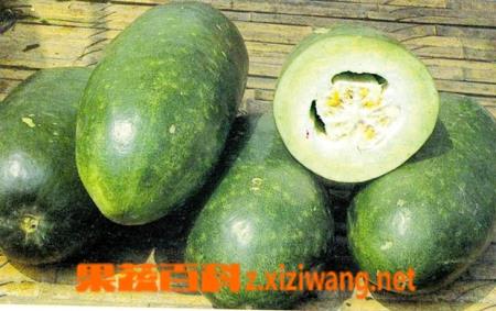 冬瓜营养价值（冬瓜营养价值和功效与作用）