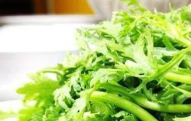 野蒿菜怎么做好吃（野蒿子菜怎么做好吃）