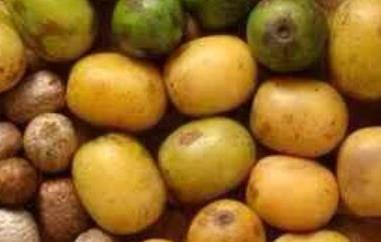 南酸枣的功效与作用有哪些 南酸枣营养