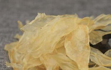 蜘蛛公鱼胶的功效与作用（蜘蛛公鱼胶是什么鱼）