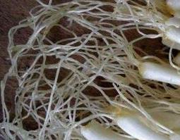 葱须泡红酒有什么功效（葱须泡红酒有什么功效?）