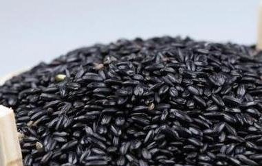 黑米掉色吗 黑米有的掉色有的不掉色