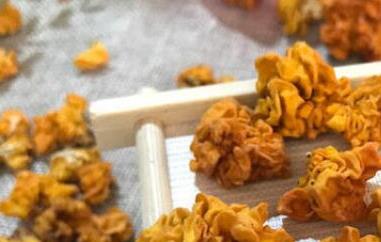 黄金木耳的功效与作用及食用禁忌 黄金木耳的吃法