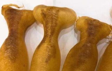 小孩吃蜘蛛鱼胶的功效（蜘蛛胶的吃法大全）