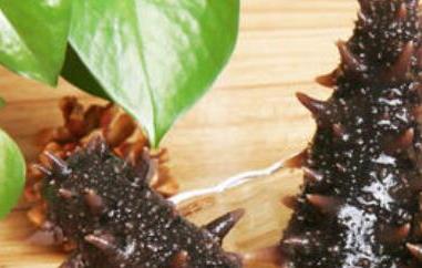 即食海参怎么吃（即食海参怎么吃前处理）