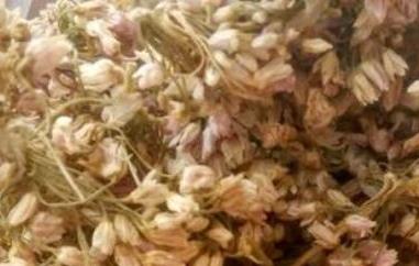 扎蒙花怎么用来炒菜（扎蒙花怎么用来炒菜好吃）