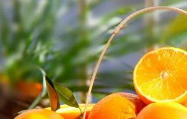 新鲜橙子如何泡水 新鲜橙子泡水喝的功效