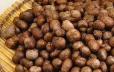 山药仔怎么做（山药豆的图片）