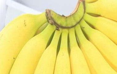 野蕉和香蕉有什么区别 香蕉和野生香蕉有什么不同?