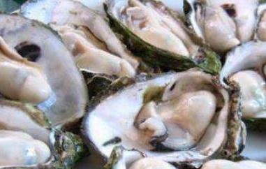 牡蛎怎么做好吃 淡干牡蛎怎么做好吃