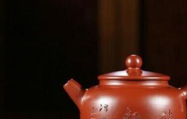 泡老白茶用什么紫砂壶(泡老白茶用什么紫砂壶最好)