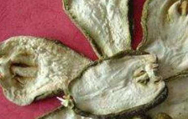 广佛手和川佛手有什么区别（广佛手和川佛手有什么区别图片）