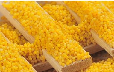 黄小米的功效与作用 黄小米的功效与作用禁忌