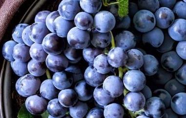 吃葡萄的好处和坏处（吃葡萄的好处和坏处各是什么）