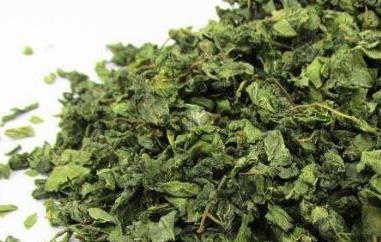 酸枣叶的功效与作用及禁忌 酸枣叶的功效与作用及禁忌症是什么