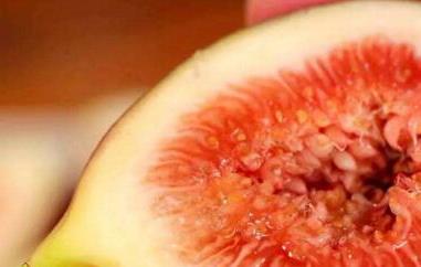 无花果汁的功效与作用及禁忌 无花果汁的功效与作用及禁忌症有哪些